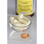 Glucosamine & Chondroitin