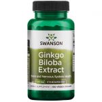 Ginkgo Biloba mit verzögerter Freisetzung  