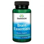 Brain Essentials