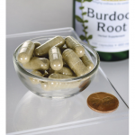 Burdock Root