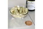 Ginkgo Biloba Extract