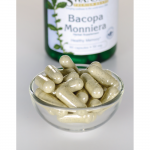 Bacopa Monniera 10:1 Extract