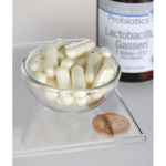 Lactobacillus gasseri