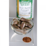 Acai Berry Extract