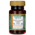 Black Currant Extract (Cassis)