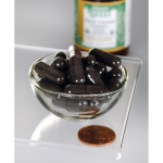 Black Currant Extract (Cassis)