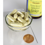 Ginkgo Biloba mit verzögerter Freisetzung  