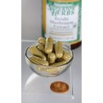 Reishi Mushroom Extract - Standardized