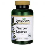 Yarrow Leaves