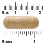 Vollspektrum Scutellaria (Helmkraut)