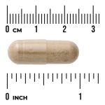 Full Spectrum Passion Flower