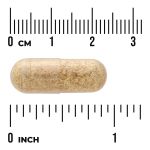 Fenugreek Seed