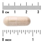 Sarsaparilla Root