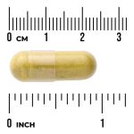 Berberine Plus with Bitter Melon & Milk Thistle - 3-in-1 Formula