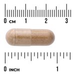 Agaricus Blazei Mushroom Extract