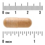 100% Pure Maximum-Strength Fucoidan Extract