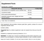 Glucosamine Chondroitin and MSM