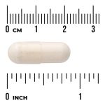 Eggshell Membrane