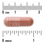 Red Yeast Rice & CoQ10 with Milk Thistle and Alpha Lipoic Acid